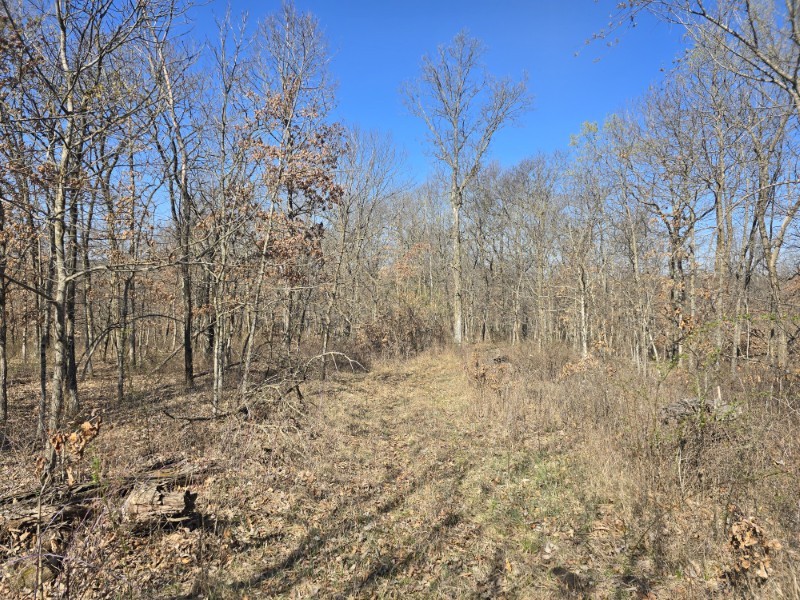 Listing photo 41